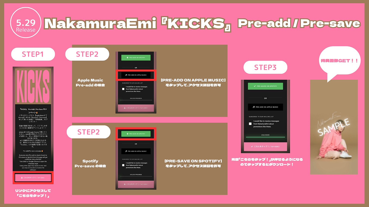 NakamuraEmi