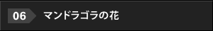 06.マンドラゴラの花.