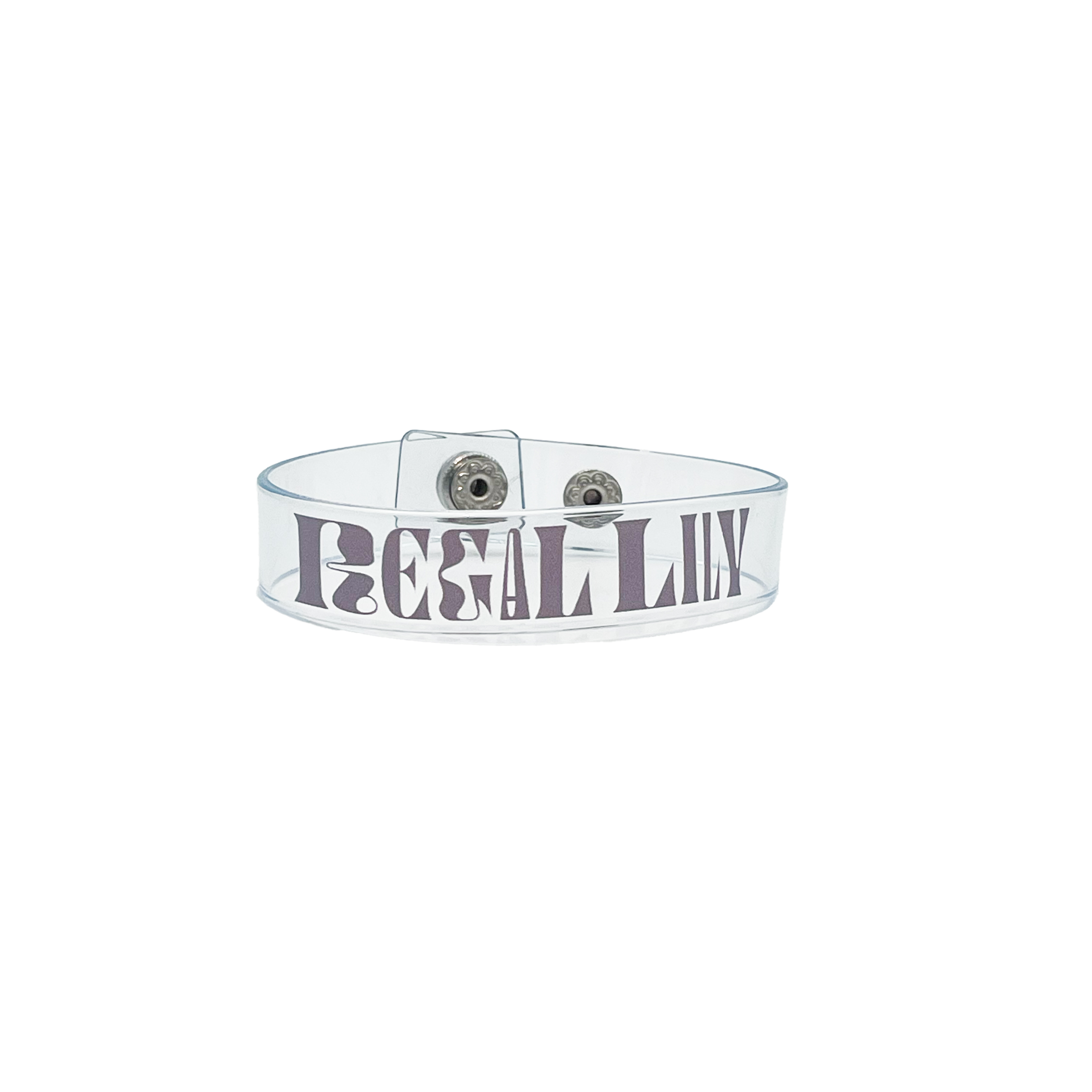 「『Regallily “LIVE HOUSE TOUR 2025”』グッズ